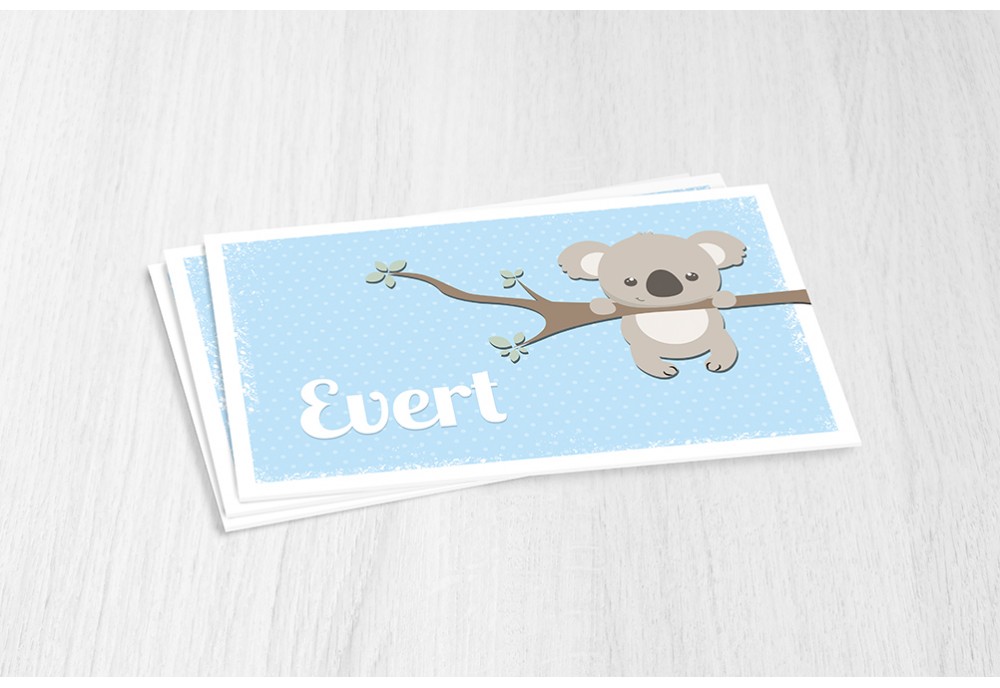Lieve koalabeer